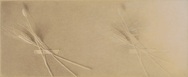 「ドライフラワー」<br>910×710mm<br>愛媛県美術館蔵の画像